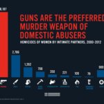 Domestic Abusers Disarmed: A Step in the Right Direction